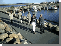 Studinen p� havnen