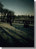 Haven kl�dt i hvidt